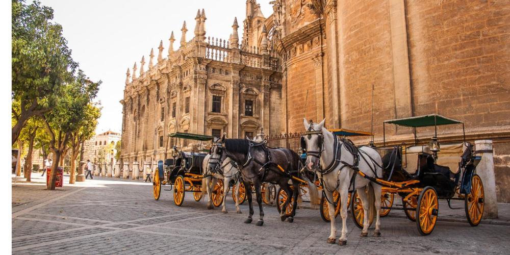 Apartment Chic Casa Cathedral At Calle Fresca 2-bedroom In City Center Malaga